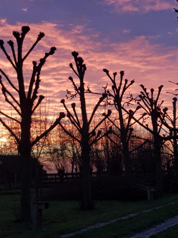 Pauwenstee Villa Stolwijk Kültér fotó